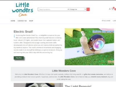Negozio online - no fee shopify - totalmente automatizzato - dropshipping - settore giochi per bambini